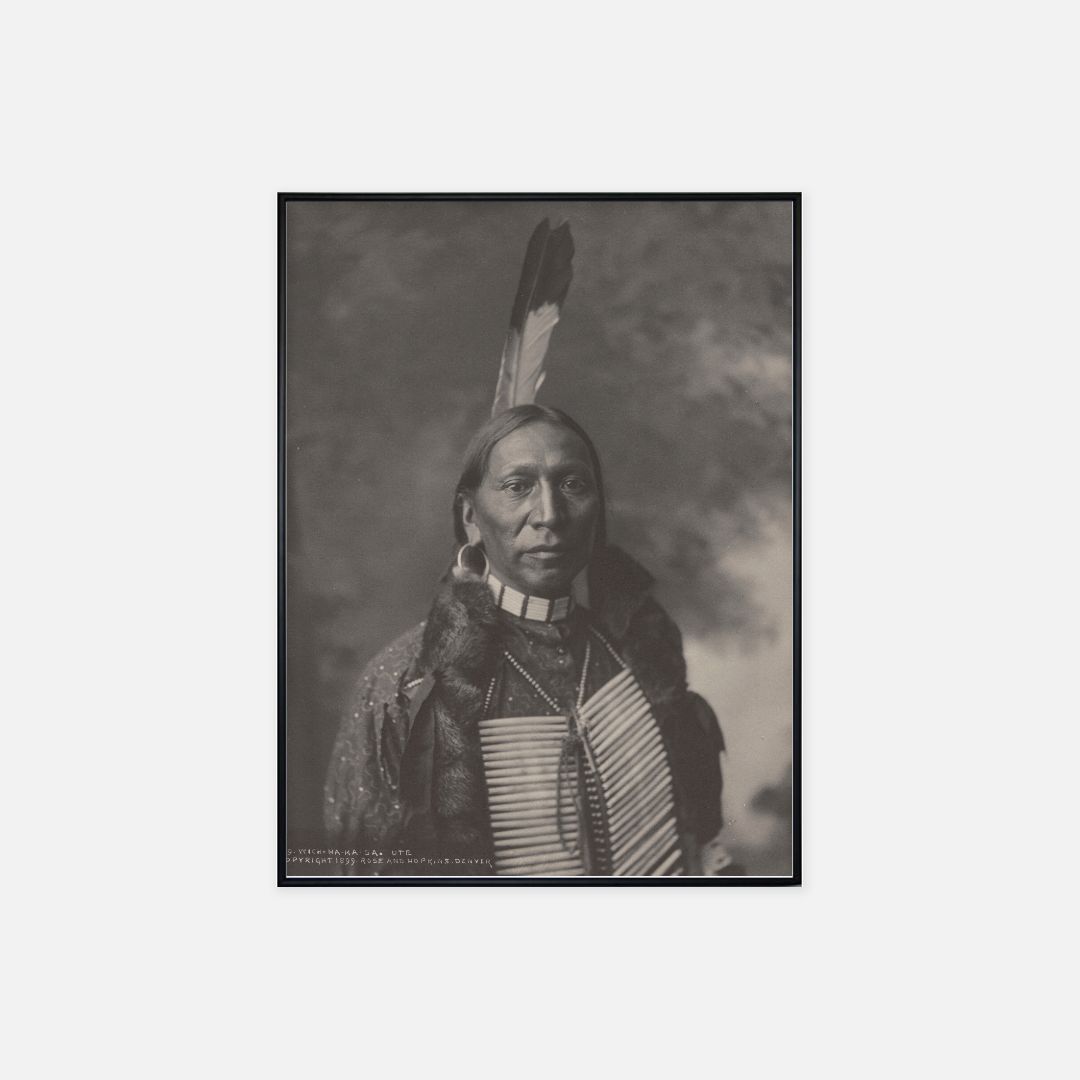 Native American Poster - 18" x 24"